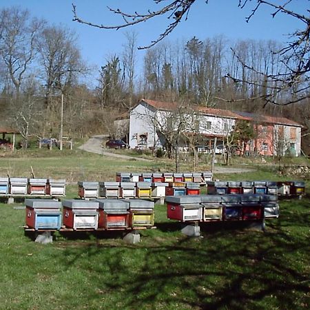 Agriturismo Ca Rossano Villa Licciana Nardi Екстериор снимка